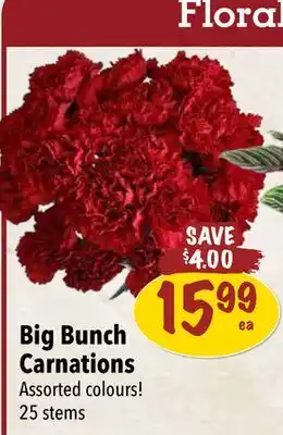 Farm Boy Big Bunch Carnations offer