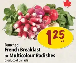 Farm Boy Bunched French Breakfast or Multicolour Radishes offer
