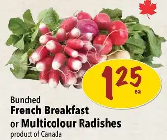 Farm Boy Bunched French Breakfast or Multicolour Radishes offer