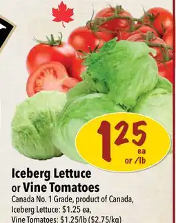 Farm Boy Iceberg Lettuce or Vine Tomatoes ($2.75/kg) offer