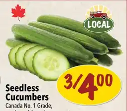 Farm Boy Seedless Cucumbers offer