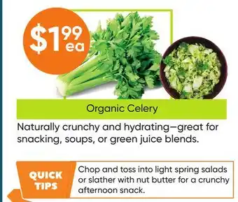 Healthy Planet Organic Celery offer