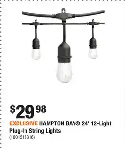 Home Depot EXCLUSIVE HAMPTON BAY 24' 12-Light Plug-In String Lights offer
