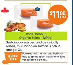 Healthy Planet Rock Harbour Organic Salmon offer