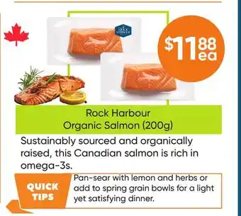 Healthy Planet Rock Harbour Organic Salmon offer