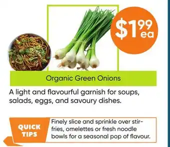 Healthy Planet Organic Green Onions offer