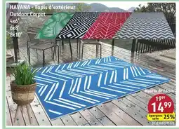 Sushi Shop Outdoor Carpet offer