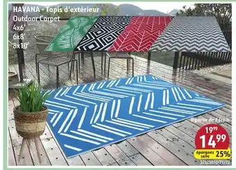 Sushi Shop Outdoor Carpet offer