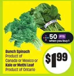 FreshCo Bunch Spinach Product of Canada or Mexico or Kale or Methi Leaf Product of Ontario offer