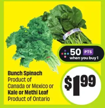 FreshCo Bunch Spinach Product of Canada or Mexico or Kale or Methi Leaf Product of Ontario offer