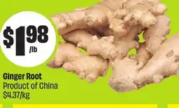 FreshCo Ginger Root Product of China $4.37/kg offer