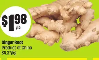 FreshCo Ginger Root Product of China $4.37/kg offer