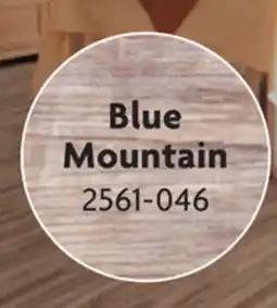 Home Hardware Loose Lay Vinyl Plank Flooring offer