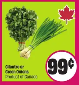 Chalo FreshCo Cilantro or Green Onions Product of Canada offer