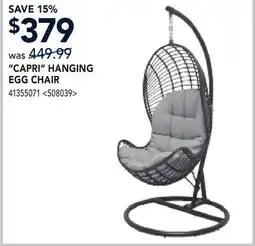 RONA CAPRI HANGING HANGING EGG CHAIR offer
