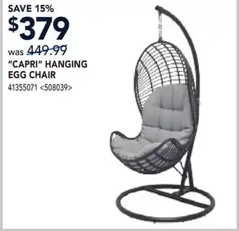 RONA CAPRI HANGING HANGING EGG CHAIR offer