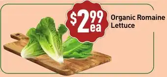 Healthy Planet Organic Romaine Lettuce offer