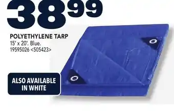 RONA POLYETHYLENE TARP offer