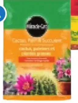 RONA 8.8-Line For Cacti, palms and succulents offer