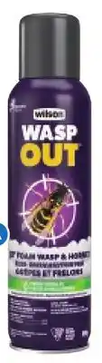 RONA WASP AND HORNET REPELLENTS 450-G. Foam offer