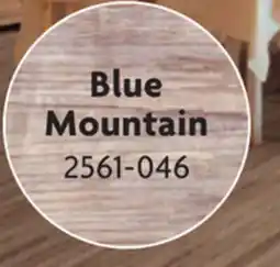 Home Hardware Blue Mountain Loose Lay Vinyl Plank Flooring offer