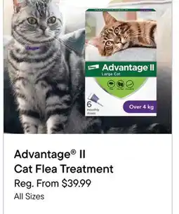 Petvalu Advantage II Cat Flea Treatment offer