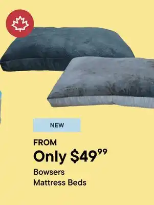 Petvalu Bowsers Mattress Beds offer