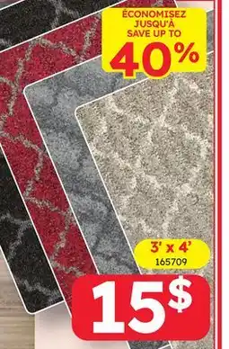 Rossy 3' x 4' RUG offer