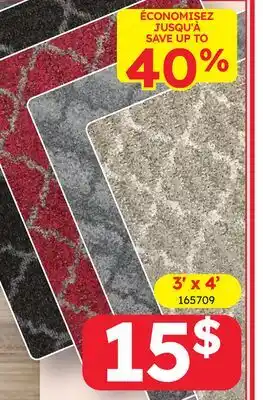 Rossy 3' x 4' RUG offer