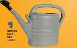 Canac Watering Can 12 L Grey offer