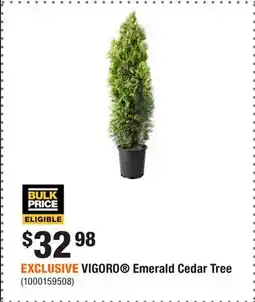 Home Depot EXCLUSIVE VIGORO Emerald Cedar Tree offer