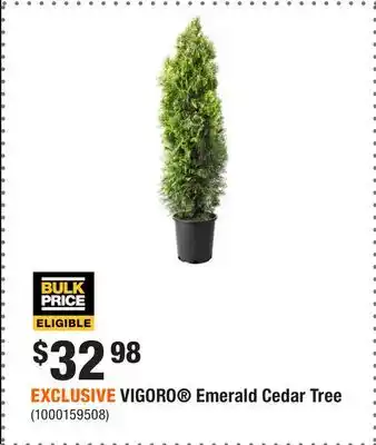 Home Depot EXCLUSIVE VIGORO Emerald Cedar Tree offer