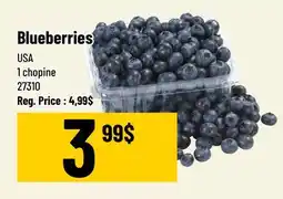 Mayrand Blueberries chopine offer