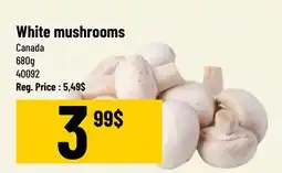Mayrand White Mushrooms 1.5 lb Canada offer