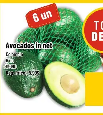 Mayrand Avocado 6 un offer