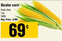 Mayrand Bicolor Corn offer