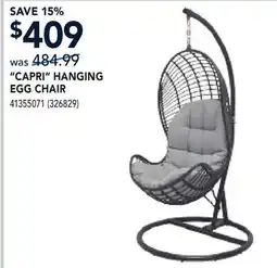 RONA CAPRI HANGING EGG CHAIR offer