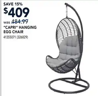 RONA CAPRI HANGING EGG CHAIR offer