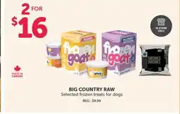 Mondou BIG COUNTRY RAW Selected frozen treats for dogs offer