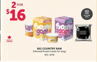 Mondou BIG COUNTRY RAW Selected frozen treats for dogs offer