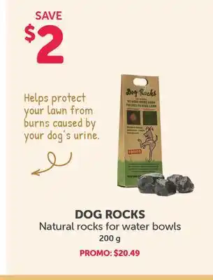 Mondou DOG ROCKS Natural rocks for water bowls offer