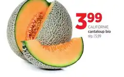 Avril cantaloup bio offer