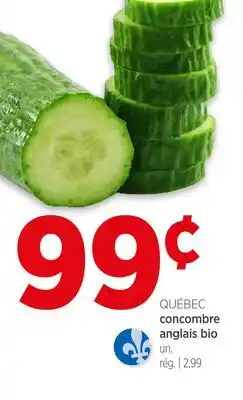 Avril concombre anglais bio offer