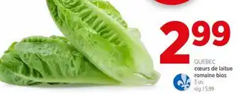 Avril cœurs de laitue romaine bios offer