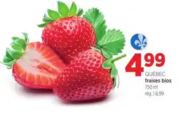 Avril fraises bios offer