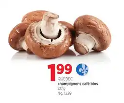 Avril champignons café bios offer