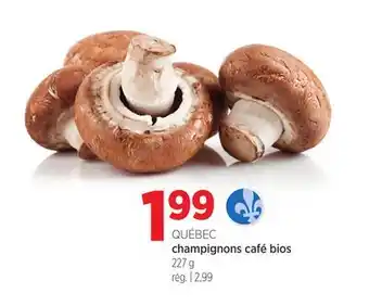 Avril champignons café bios offer