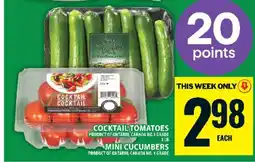 Food Basics Cocktail Tomatoes and Mini Cucumbers offer