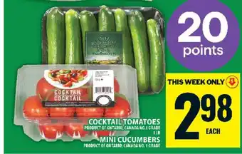 Food Basics Cocktail Tomatoes and Mini Cucumbers offer