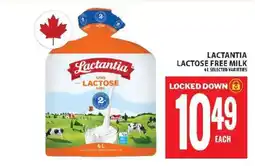 Food Basics LACTANTIA LACTOSE FREE MILK offer